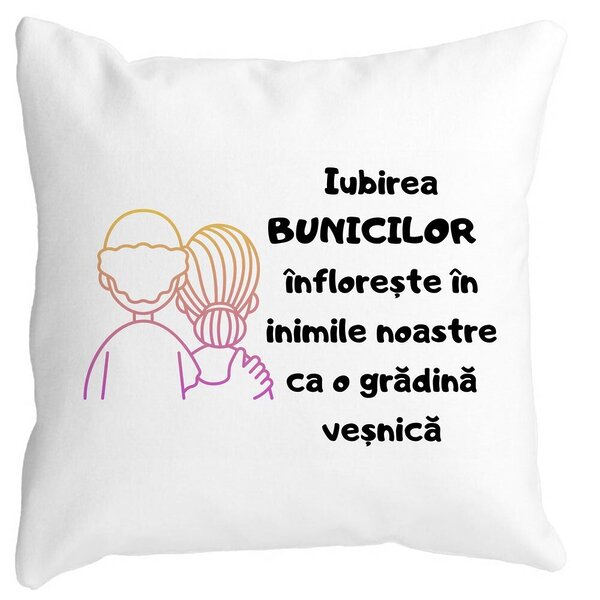 Perna Decorativa pentru Bunici 10, 40x40 cm, Alba, Mata, Husa Detasabila, Burduf 3 Perna Decorativa pentru Bunici 10