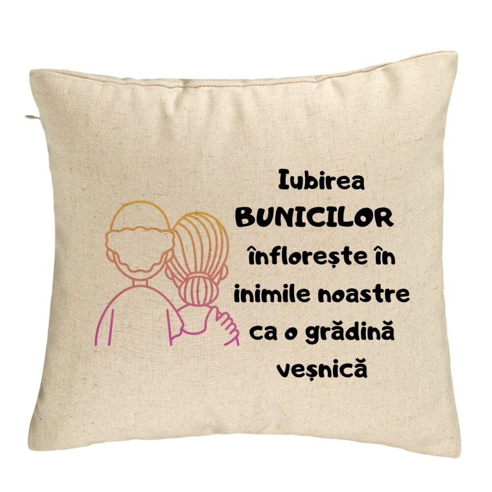 Perna Decorativa pentru Bunici 10, 40x40 cm, Bej, Husa Detasabila, Burduf 5 Perna Decorativa pentru Bunici 10