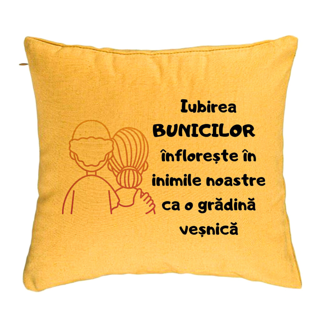 Perna Decorativa pentru Bunici 10, 40x40 cm, Galben, Husa Detasabila, Burduf 5 Perna Decorativa pentru Bunici 10