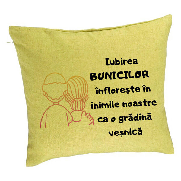 Perna Decorativa pentru Bunici 10, 40x40 cm, Verde, Husa Detasabila, Burduf 5 Perna Decorativa pentru Bunici 10