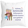 Perna Decorativa pentru Bunici 2, 40x40 cm, Alba, Mata, Husa Detasabila, Burduf 4 Perna Decorativa pentru Bunici 2