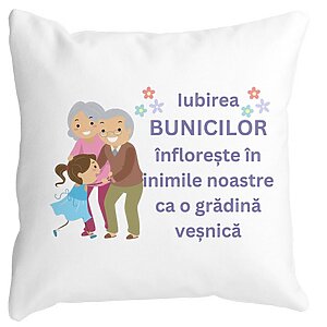 Perna Decorativa pentru Bunici 2