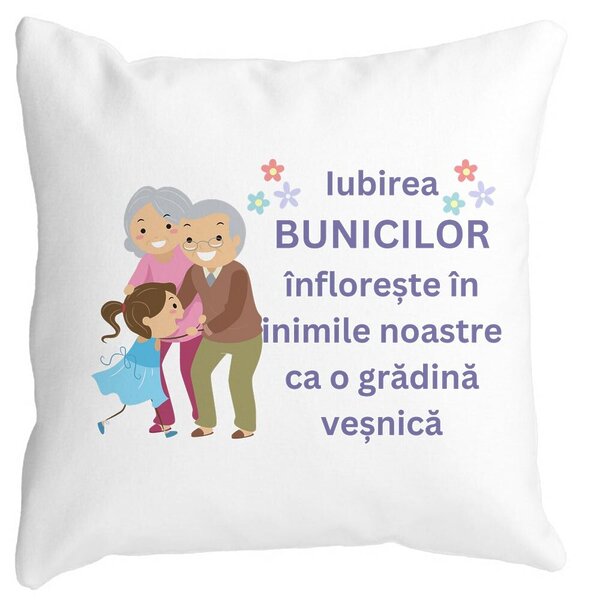 Perna Decorativa pentru Bunici 2, 40x40 cm, Alba, Mata, Husa Detasabila, Burduf 3 Perna Decorativa pentru Bunici 2