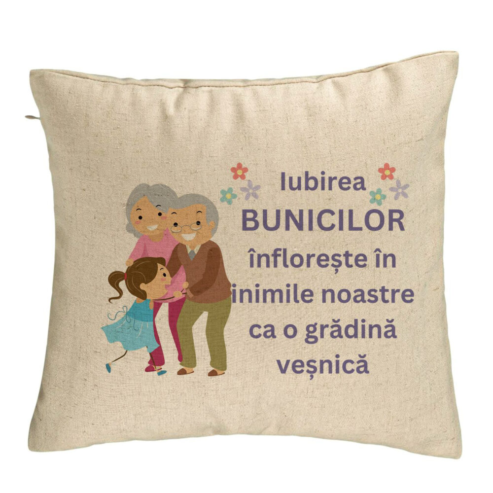 Perna Decorativa pentru Bunici 2, 40x40 cm, Bej, Husa Detasabila, Burduf 5 Perna Decorativa pentru Bunici 2