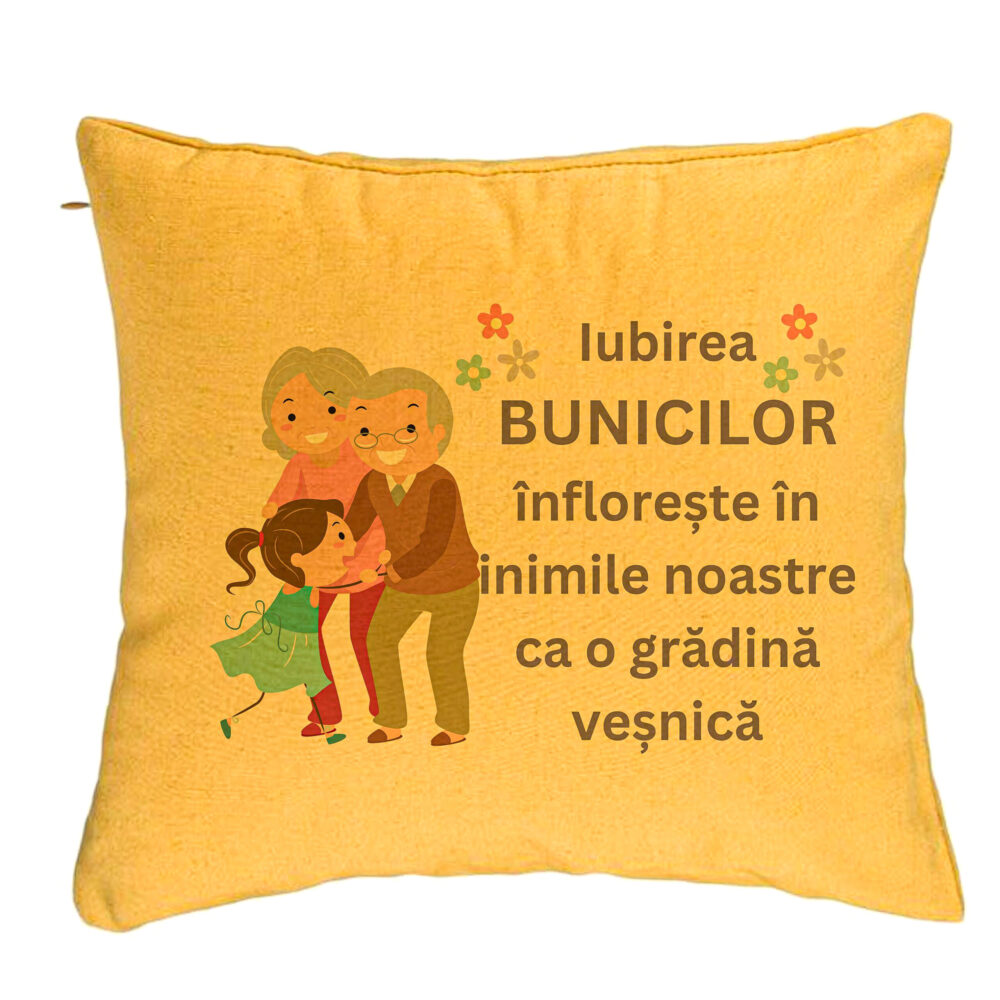 Perna Decorativa pentru Bunici 2, 40x40 cm, Galben, Husa Detasabila, Burduf 5 Perna Decorativa pentru Bunici 2