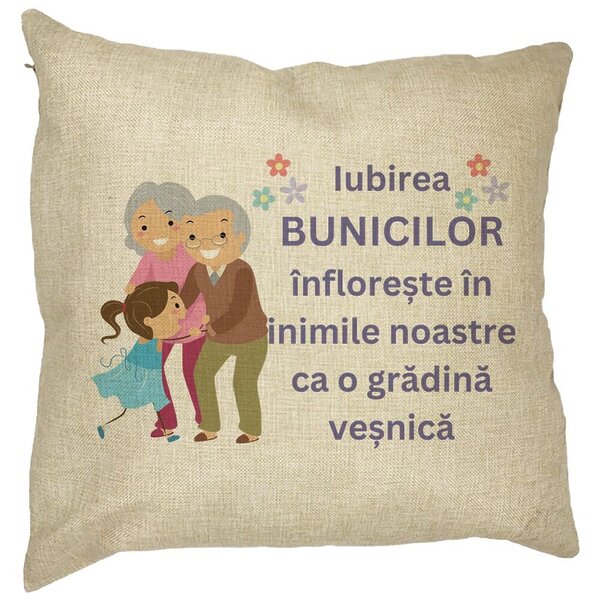 Perna Decorativa pentru Bunici 2, 40x40 cm, Husa Detasabila, Burduf 11 Perna Decorativa pentru Bunici 2