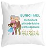 Perna Decorativa pentru Bunici 3, 40x40 cm, Alba, Mata, Husa Detasabila, Burduf 4 Perna Decorativa pentru Bunici 3