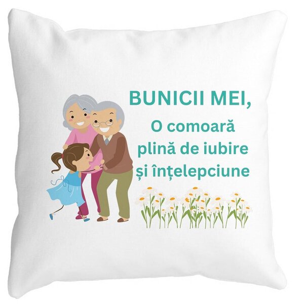 Perna Decorativa pentru Bunici 3, 40x40 cm, Alba, Mata, Husa Detasabila, Burduf 3 Perna Decorativa pentru Bunici 3