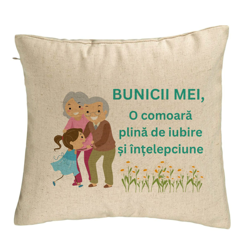 Perna Decorativa pentru Bunici 3, 40x40 cm, Bej, Husa Detasabila, Burduf 5 Perna Decorativa pentru Bunici 3