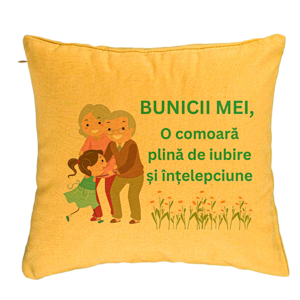 Perna Decorativa pentru Bunici 3, 40x40 cm, Galben, Husa Detasabila, Burduf 5 Perna Decorativa pentru Bunici 3