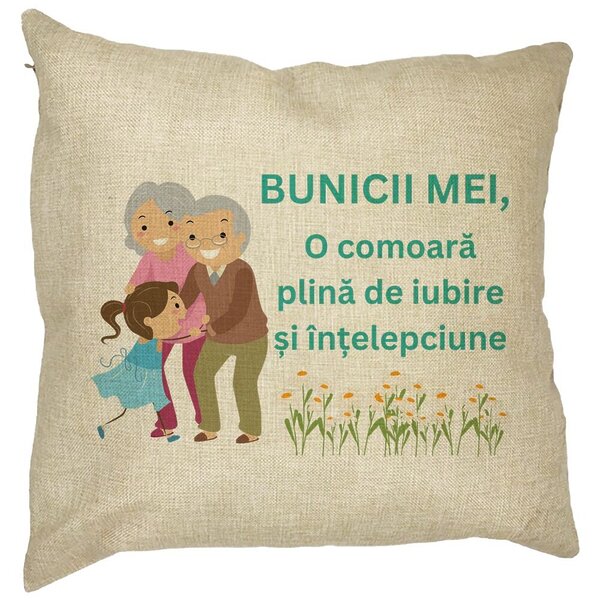 Perna Decorativa pentru Bunici 3, 40x40 cm, Husa Detasabila, Burduf 11 Perna Decorativa pentru Bunici 3