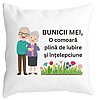 Perna Decorativa pentru Bunici 4, 40x40 cm, Alba, Mata, Husa Detasabila, Burduf 4 Perna Decorativa pentru Bunici 4