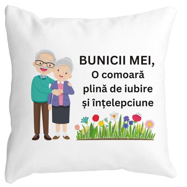 Perna Decorativa pentru Bunici 4, 40x40 cm, Alba, Mata, Husa Detasabila, Burduf 3 Perna Decorativa pentru Bunici 4
