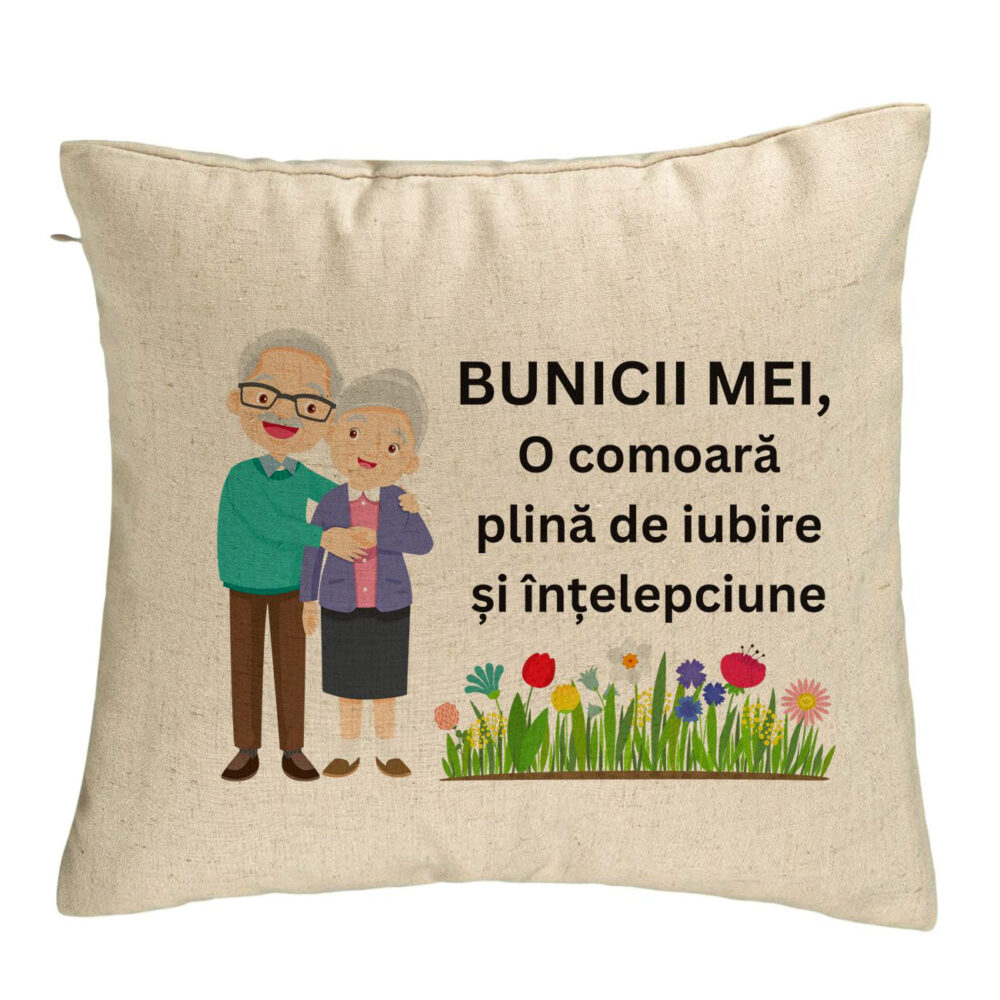 Perna Decorativa pentru Bunici 4, 40x40 cm, Bej, Husa Detasabila, Burduf 5 Perna Decorativa pentru Bunici 4