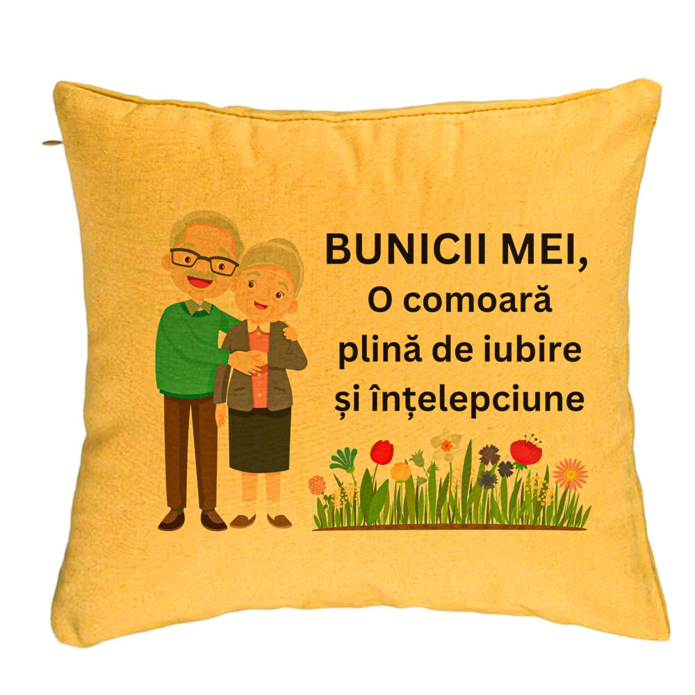 Perna Decorativa pentru Bunici 4, 40x40 cm, Galben, Husa Detasabila, Burduf 5 Perna Decorativa pentru Bunici 4
