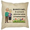 Perna Decorativa pentru Bunici 4, 40x40 cm, Husa Detasabila, Burduf 16 Perna Decorativa pentru Bunici 4