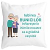 Perna Decorativa pentru Bunici 5, 40x40 cm, Alba, Mata, Husa Detasabila, Burduf 4 Perna Decorativa pentru Bunici 5