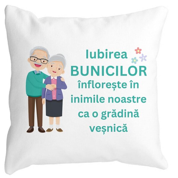 Perna Decorativa pentru Bunici 5, 40x40 cm, Alba, Mata, Husa Detasabila, Burduf 3 Perna Decorativa pentru Bunici 5