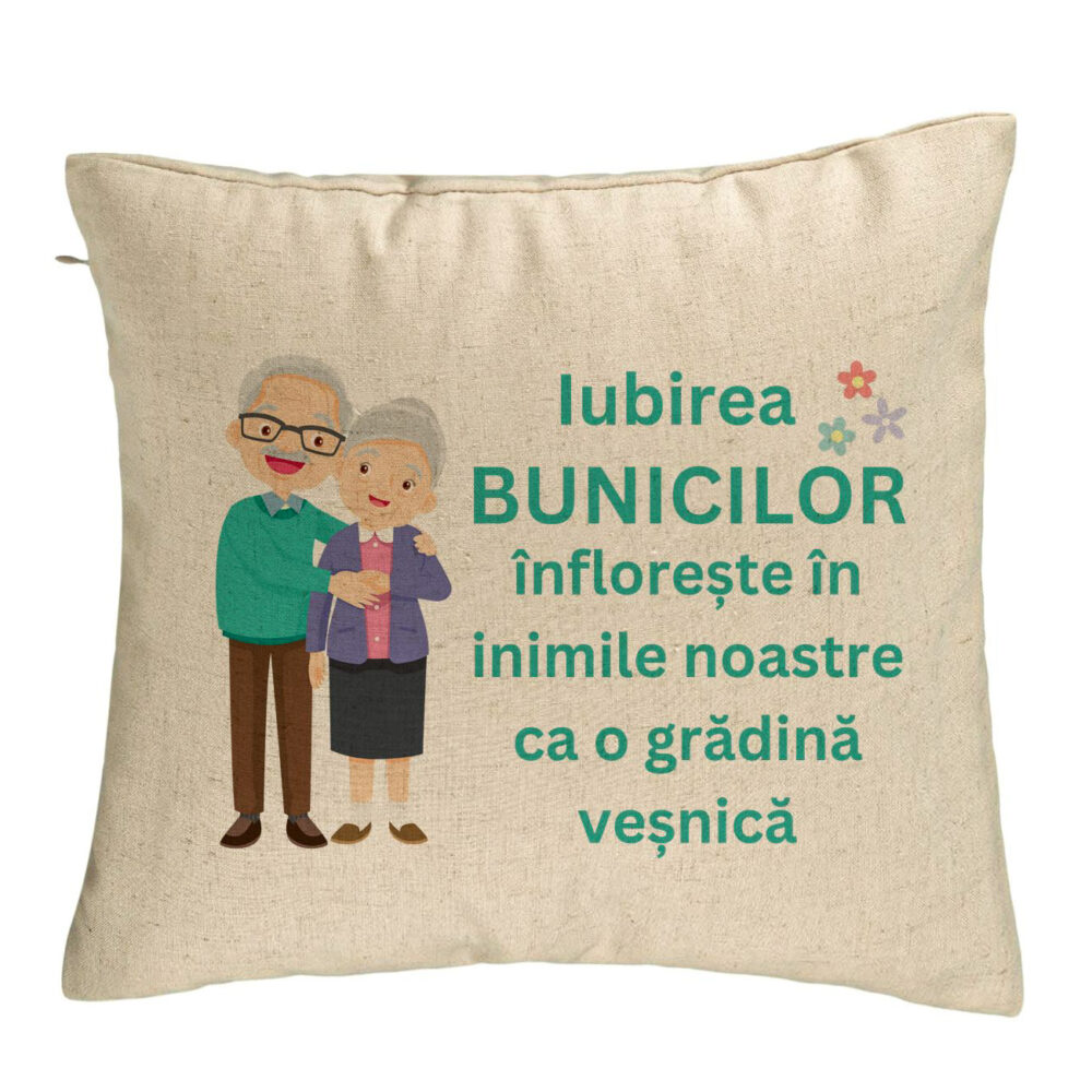 Perna Decorativa pentru Bunici 5, 40x40 cm, Bej, Husa Detasabila, Burduf 5 Perna Decorativa pentru Bunici 5