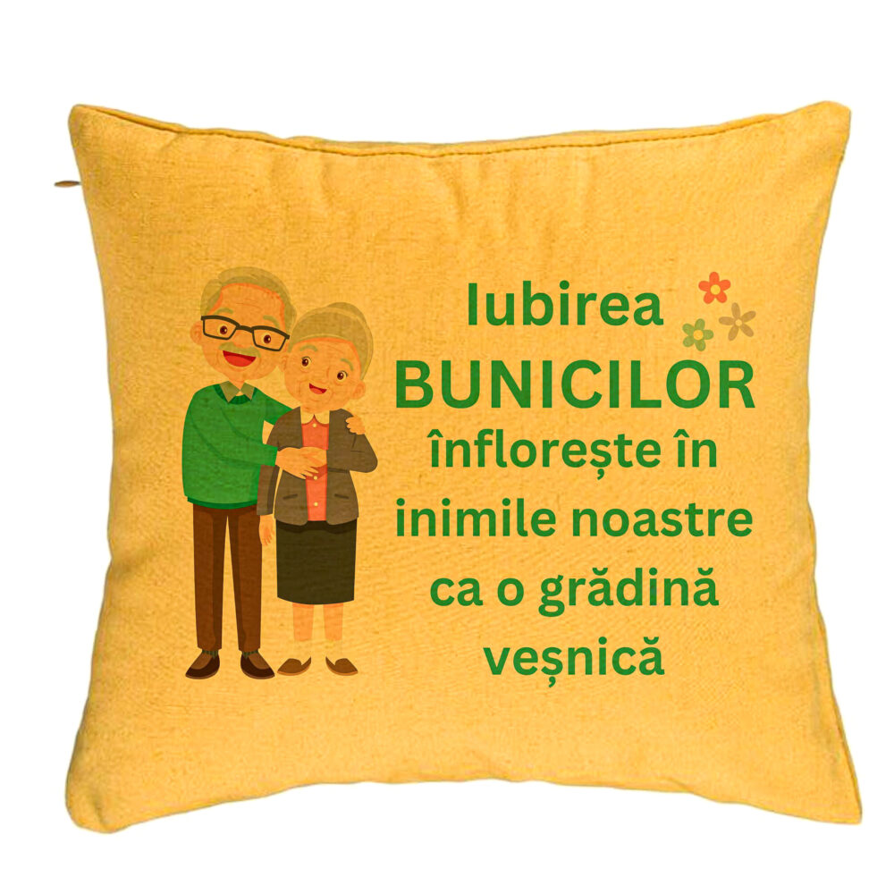 Perna Decorativa pentru Bunici 5, 40x40 cm, Galben, Husa Detasabila, Burduf 5 Perna Decorativa pentru Bunici 5