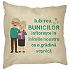 Perna Decorativa pentru Bunici 5, 40x40 cm, Husa Detasabila, Burduf 16 Perna Decorativa pentru Bunici 5