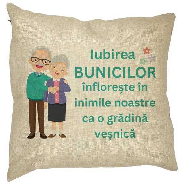 Perna Decorativa pentru Bunici 5, 40x40 cm, Husa Detasabila, Burduf 11 Perna Decorativa pentru Bunici 5
