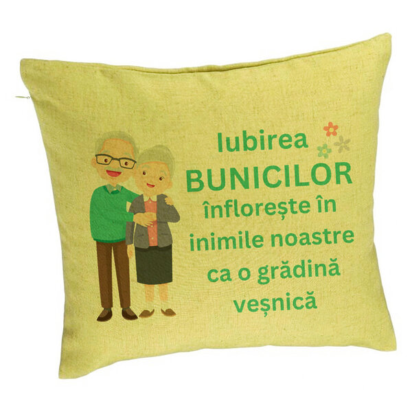 Perna Decorativa pentru Bunici 5, 40x40 cm, Verde, Husa Detasabila, Burduf 5 Perna Decorativa pentru Bunici 5