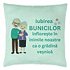 Perna Decorativa pentru Bunici 5, 40x40 cm, Verde Menta, Husa Detasabila, Burduf 7 Perna Decorativa pentru Bunici 5