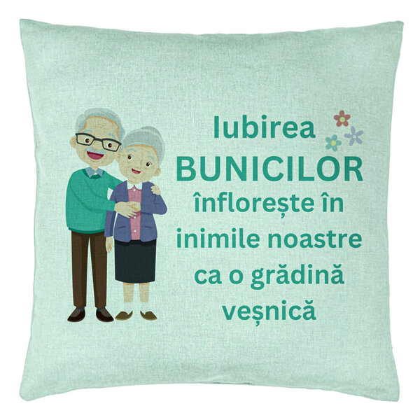 Perna Decorativa pentru Bunici 5, 40x40 cm, Verde Menta, Husa Detasabila, Burduf 5 Perna Decorativa pentru Bunici 5