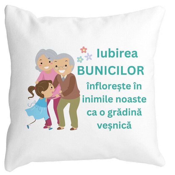 Perna Decorativa pentru Bunici 6, 40x40 cm, Alba, Mata, Husa Detasabila, Burduf 3 Perna Decorativa pentru Bunici 6