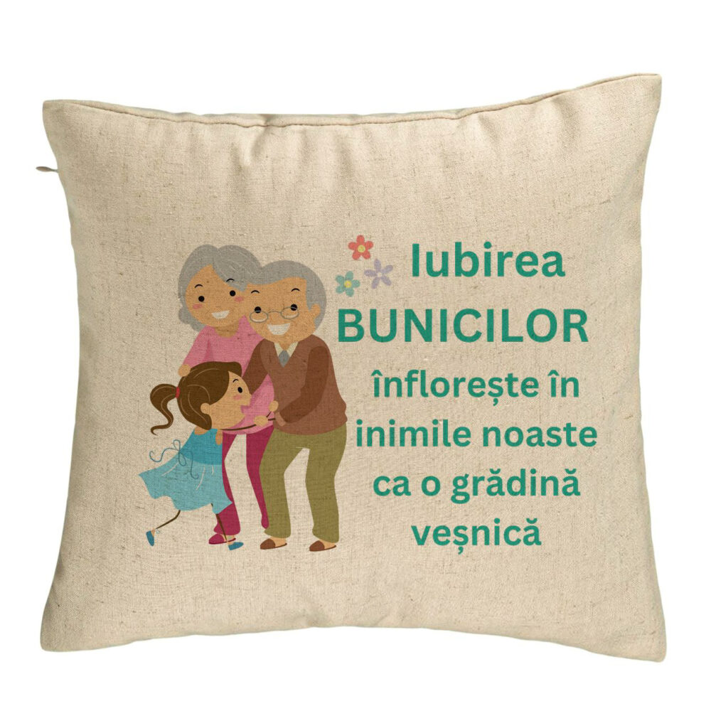 Perna Decorativa pentru Bunici 6, 40x40 cm, Bej, Husa Detasabila, Burduf 5 Perna Decorativa pentru Bunici 6