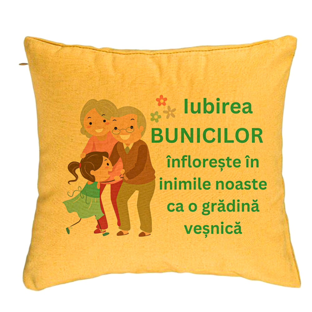 Perna Decorativa pentru Bunici 6, 40x40 cm, Galben, Husa Detasabila, Burduf 5 Perna Decorativa pentru Bunici 6