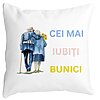Perna Decorativa pentru Bunici 7, 40x40 cm, Alba, Mata, Husa Detasabila, Burduf 4 Perna Decorativa pentru Bunici 7