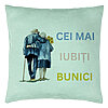 Perna Decorativa pentru Bunici 7, 40x40 cm, Verde Menta, Husa Detasabila, Burduf 7 Perna Decorativa pentru Bunici 7