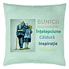 Perna Decorativa pentru Bunici 8, 40x40 cm, Verde Menta, Husa Detasabila, Burduf 7 Perna Decorativa pentru Bunici 8