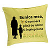 Perna Decorativa pentru Bunicul 19, 40x40 cm, Verde, Husa Detasabila, Burduf 7 Perna Decorativa pentru Bunicul 19