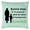 Perna Decorativa pentru Bunicul 19, 40x40 cm, Verde Menta, Husa Detasabila, Burduf 7 Perna Decorativa pentru Bunicul 19