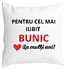 Perna Decorativa pentru Bunicul 3, 40x40 cm, Alba, Mata, Husa Detasabila, Burduf 4 Perna Decorativa pentru Bunicul 3