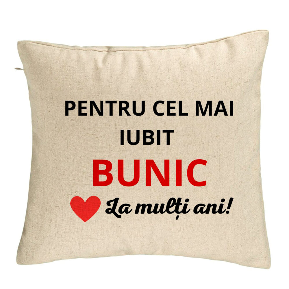 Perna Decorativa pentru Bunicul 3, 40x40 cm, Bej, Husa Detasabila, Burduf 5 Perna Decorativa pentru Bunicul 3