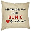 Perna Decorativa pentru Bunicul 3, 40x40 cm, Husa Detasabila, Burduf 16 Perna Decorativa pentru Bunicul 3