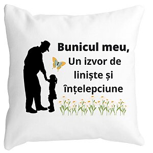 Perna Decorativa pentru Bunicul 5