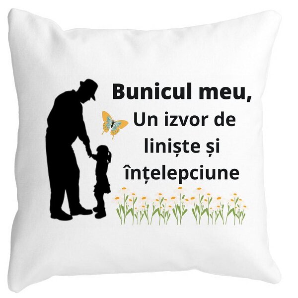 Perna Decorativa pentru Bunicul 5, 40x40 cm, Alba, Mata, Husa Detasabila, Burduf 3 Perna Decorativa pentru Bunicul 5