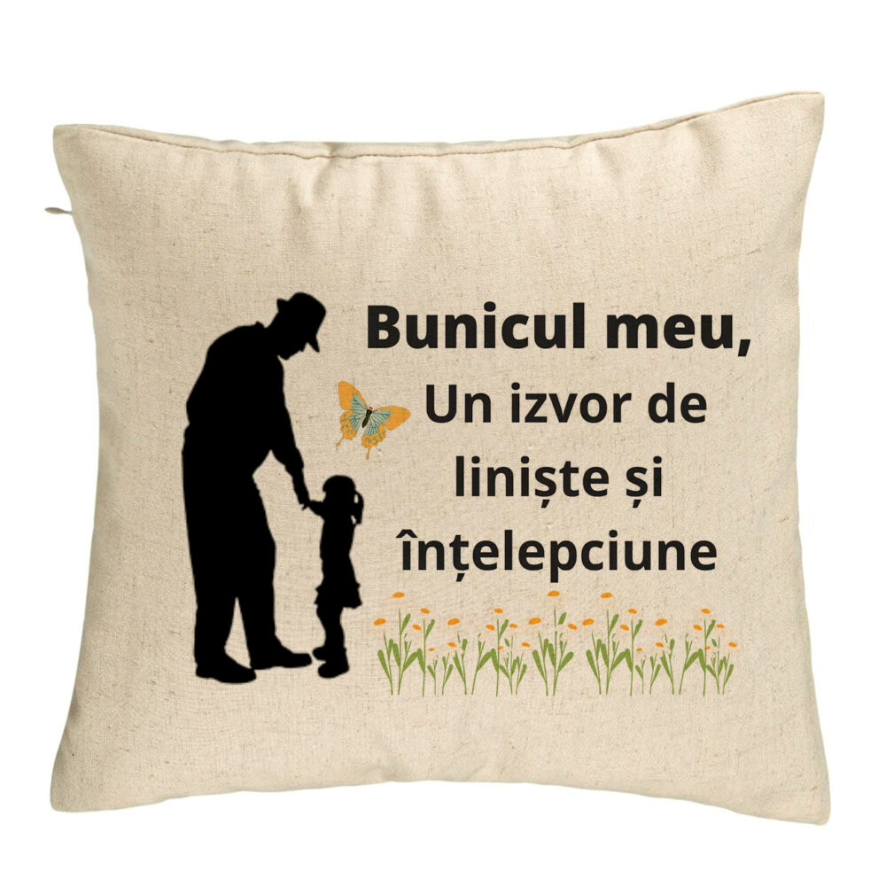 Perna Decorativa pentru Bunicul 5, 40x40 cm, Bej, Husa Detasabila, Burduf 5 Perna Decorativa pentru Bunicul 5