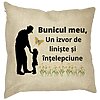 Perna Decorativa pentru Bunicul 5, 40x40 cm, Husa Detasabila, Burduf 16 Perna Decorativa pentru Bunicul 5