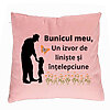 Perna Decorativa pentru Bunicul 5, 40x40 cm, Roz, Husa Detasabila, Burduf 7 Perna Decorativa pentru Bunicul 5