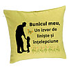 Perna Decorativa pentru Bunicul 5, 40x40 cm, Verde, Husa Detasabila, Burduf 7 Perna Decorativa pentru Bunicul 5