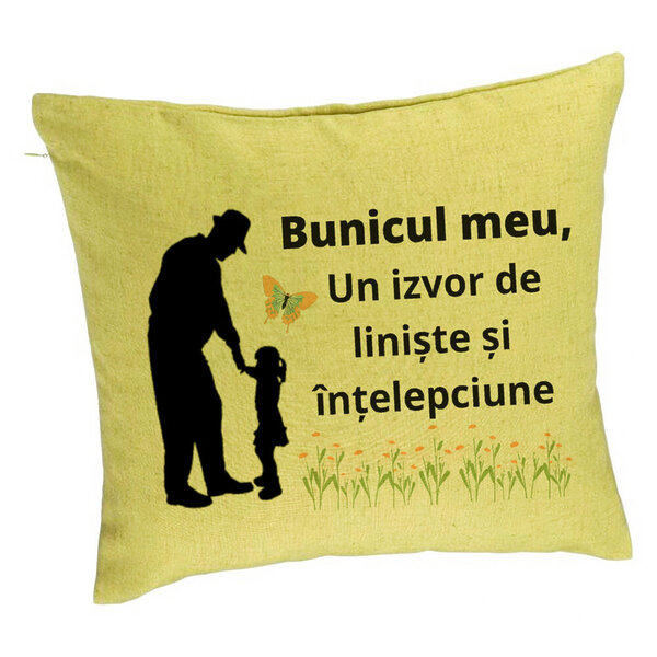 Perna Decorativa pentru Bunicul 5, 40x40 cm, Verde, Husa Detasabila, Burduf 5 Perna Decorativa pentru Bunicul 5