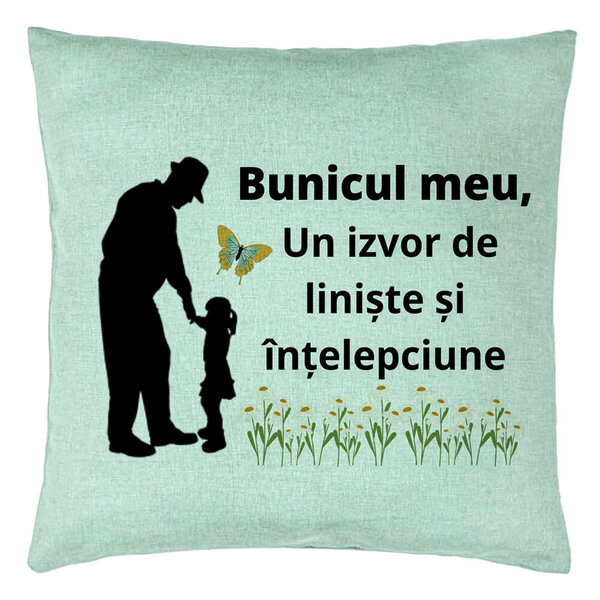Perna Decorativa pentru Bunicul 5, 40x40 cm, Verde Menta, Husa Detasabila, Burduf 5 Perna Decorativa pentru Bunicul 5