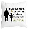 Perna Decorativa pentru Bunicul 6, 40x40 cm, Alba, Mata, Husa Detasabila, Burduf 4 Perna Decorativa pentru Bunicul 6