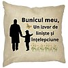 Perna Decorativa pentru Bunicul 6, 40x40 cm, Husa Detasabila, Burduf 16 Perna Decorativa pentru Bunicul 6